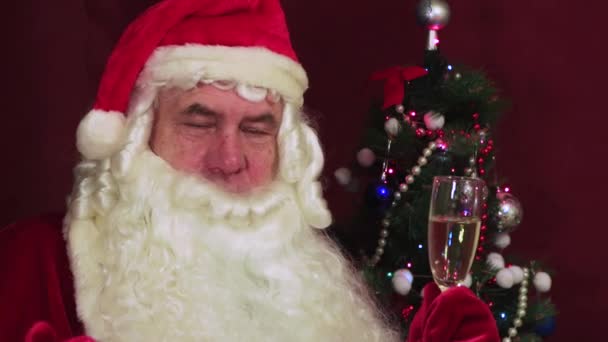 Santa Claus z blízka drží sklenici a blahopřeje. — Stock video