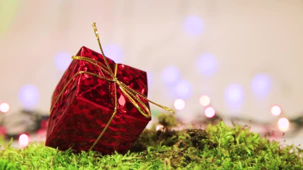 Κόκκινο δώρο σε πράσινα βρύα, Χριστουγεννιάτικο δέντρο διακόσμηση με bokeh πίσω. — Αρχείο Βίντεο