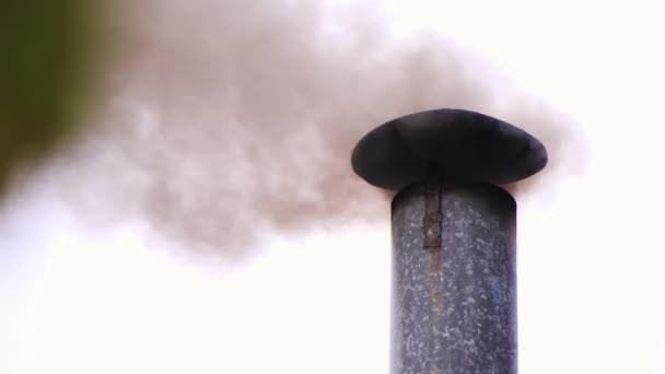 Close-up de um cachimbo de fumar grosso. — Vídeo de Stock