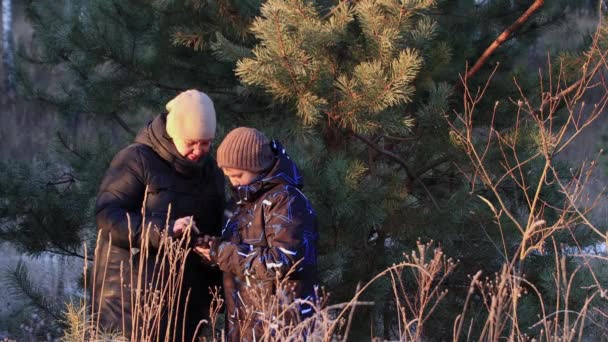 Porträt einer glücklichen Mutter mit ihrem Sohn beim Anblick von Bildern am Telefon. — Stockvideo