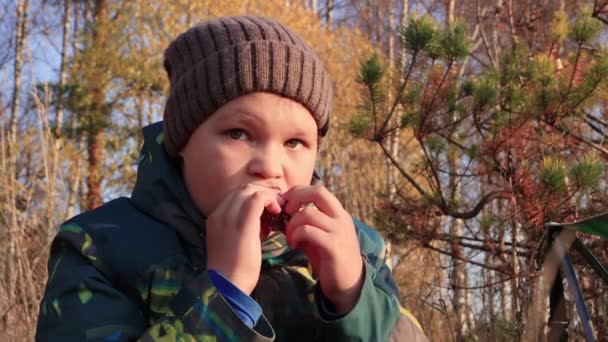 Хлопчик в капелюсі крупним планом їсть шоколадну цукерку із задоволенням . — стокове відео