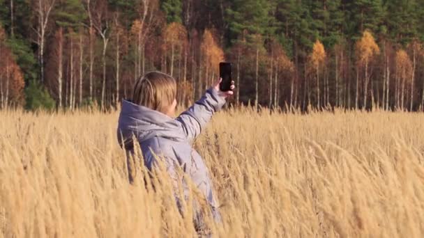 La fille dans l'herbe haute, elle utilise Internet sur son téléphone et parle — Video