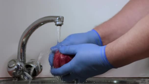 Le mani maschili in guanti lavano un melograno rosso e lo esaminano. — Video Stock