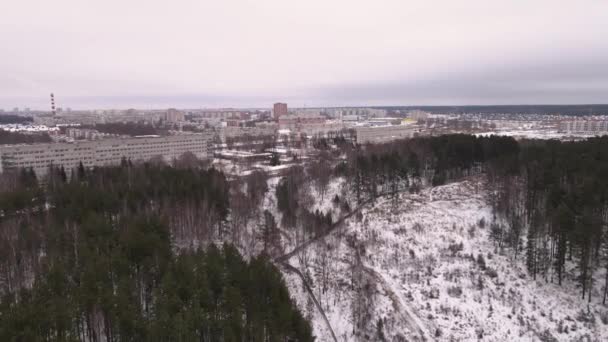 Widok z lotu ptaka na niewielki zielony las z szeroką polaną dla linii energetycznych — Wideo stockowe