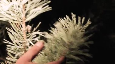 Bir adamın eli, karanlıkta daldan süzülen parlak bir buzdan kurtulur..