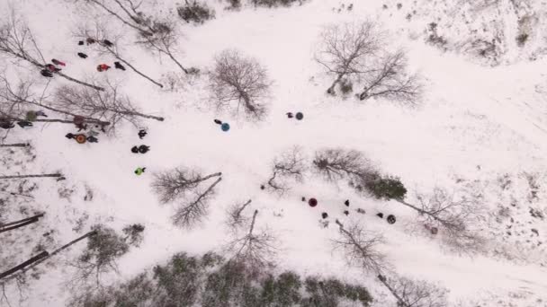 大人们和孩子们在树间活动，他们的雪橇是充气的. — 图库视频影像