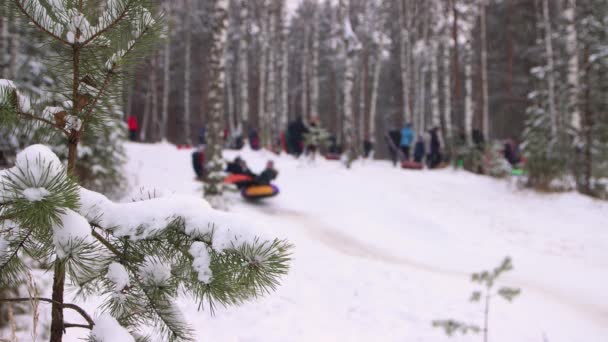 Widok na stok i szczęśliwe dzieci schodzące z góry w rozproszeniu. — Wideo stockowe