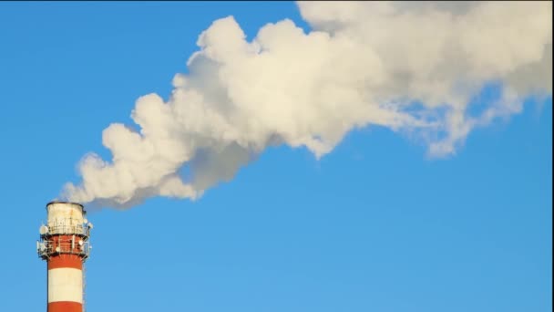 Witte rook giet dik uit de rood-witte schoorsteen — Stockvideo