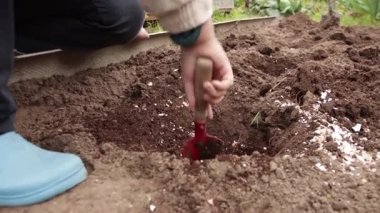 Yakın plan insan elleri delikte organik gübreleri dikkatlice karıştırıyor..