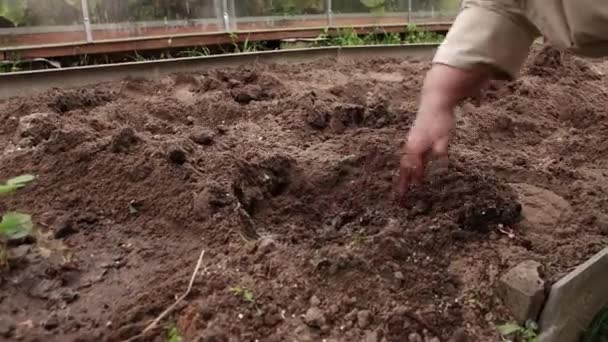 Yakın plan kadın eli bahçe yatağında bitki dikmek için bir delik açar.. — Stok video