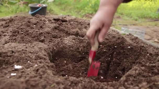 Close-up van een vrouwelijke hand roeren meststof in een gat met een rode primeur. — Stockvideo