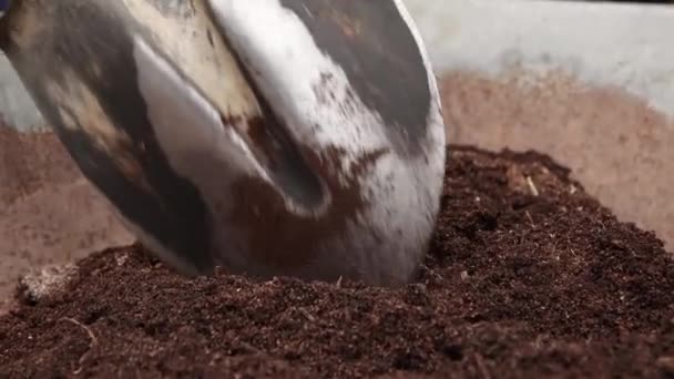 Close-up schop mengt langzaam vruchtbare compost in een kruiwagen. — Stockvideo