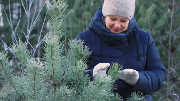 Elleri eldivende kozalaklı bir dalı okşayan mutlu genç bir kadın.. — Stok video