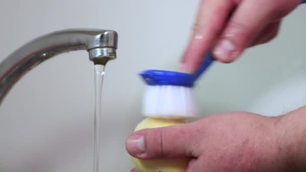 男性の手はブラシで黄色のレモンのストリームの下に洗浄されます。. — ストック動画