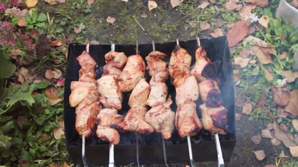 Skewers with pieces of meat lay flat on the grill with burning coal — Stock video