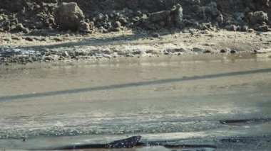 Delikleri, çamurlu su birikintileri ve çatlakları olan kötü bir yolda yakın çekimde araba kullanmak..