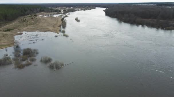 Spring flood, aerial view, flooded coast in the background. — Stock Video