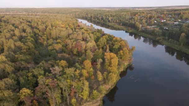 Luchtfoto van bos en kalme rivier bij zonsondergang. — Stockvideo