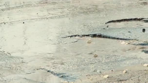 Conduire les roues des voitures sur une mauvaise route avec des flaques boueuses, des trous et des fissures. — Video