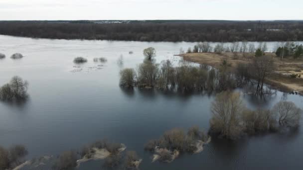 Voorjaarsvloed, bovenaanzicht, bos en grijze lucht op de achtergrond. — Stockvideo