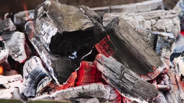 Horký oheň hoří v grilu na dřevěném uhlí. — Stock video