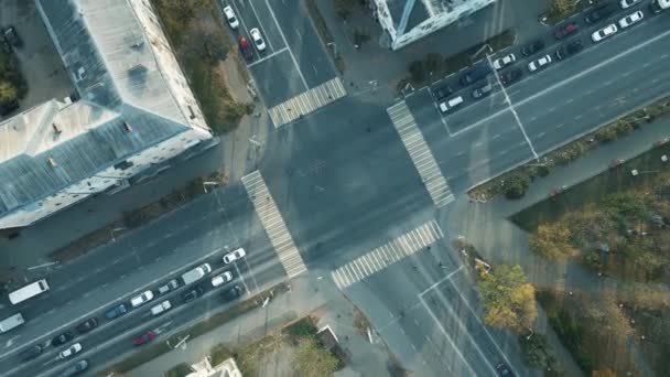 Una gran intersección de la ciudad por la mañana, los coches están en un semáforo. — Vídeo de stock