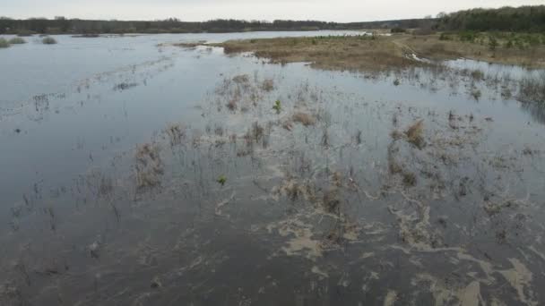 Inundação de primavera, vista de olhos de pássaros da margem do rio e arbustos na água. — Vídeo de Stock