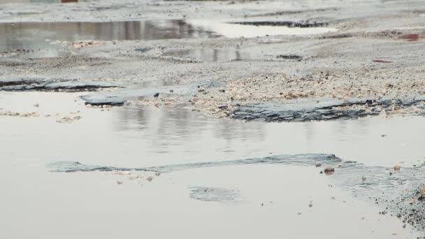 近くの車はゆっくりと穴や泥だらけの水たまりで道路に沿って駆動します. — ストック動画