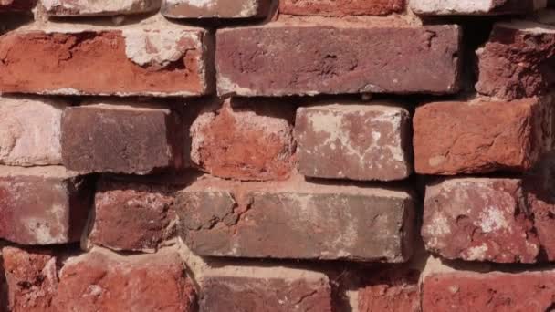 Die Struktur der Mauer besteht aus alten zerstörten Ziegeln — Stockvideo