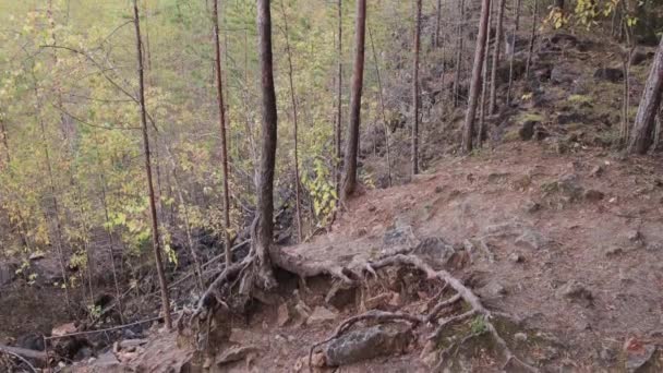 En stenig klippa överväxt med träd från ett gammalt stenbrott. — Stockvideo