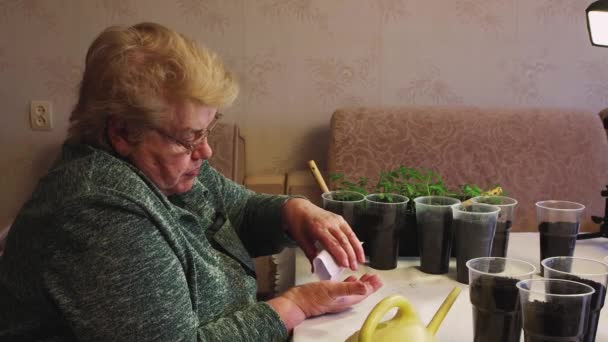 Yaşlı bir kadın elindeki torbadan organik gübre taneleri döker.. — Stok video