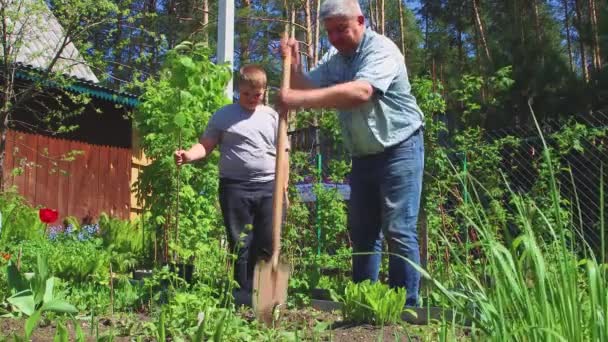 Le père tapote le garçon sur l'épaule et creuse un trou pour le semis. — Video