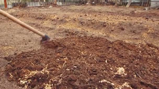 Eine Metallharke flacht das Kompostbeet für die Nahbepflanzung ab. — Stockvideo