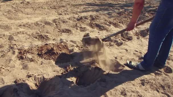 A young man digs holes with a shovel for planting potato tubers — Stock Video