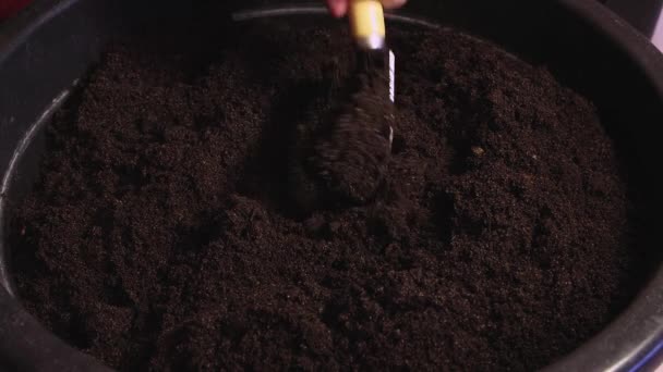 En kvinnlig hand blandar komposten för plantering av plantor med en spatel. — Stockvideo