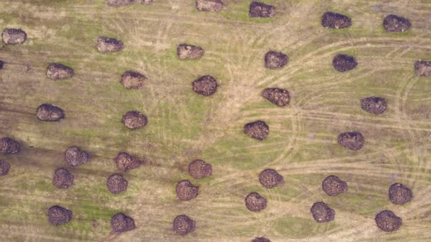 Vista aérea de una pila de estiércol esparcida por un campo agrícola. — Vídeos de Stock