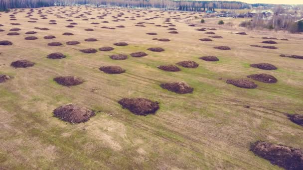 Montes lisos de estrume num campo de sementeira agrícola, vista aérea. — Vídeo de Stock