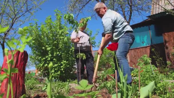 De jongen houdt een boomstronk vast, de vader valt in slaap met aarde.. — Stockvideo