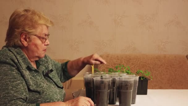 Una donna anziana conta i vasi di compost puntando il dito contro di loro. — Video Stock