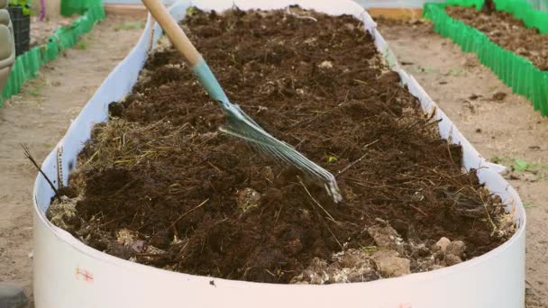 Een man spreidt compost uit in een tuinbed met een ventilatorhark close-up. — Stockvideo