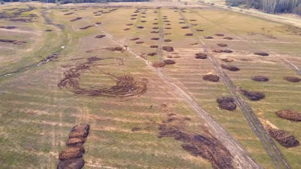 Pilhas de estrume em um grande campo de fazenda no campo. — Vídeo de Stock