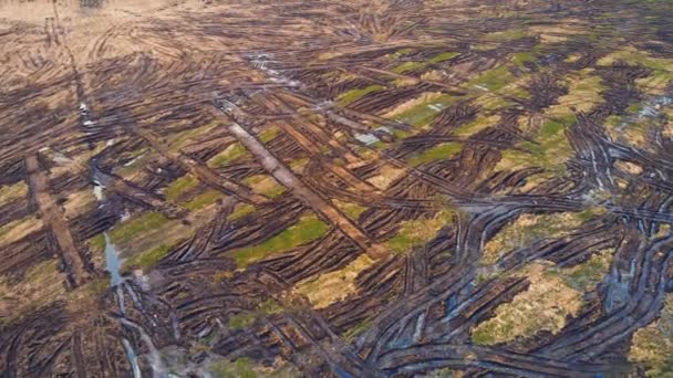 Vista de aves de los montones de estiércol dispersos en un campo agrícola. — Vídeos de Stock