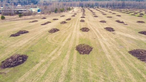 Straight rows of heap of manure on a farm field, aerial view. — Stock Video
