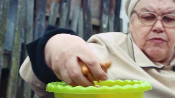 Eine ältere Frau sortiert Zwiebeln zum Pflanzen in einem Becken in Großaufnahme. — Stockvideo