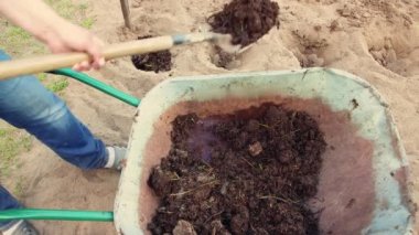 El arabasından kürek çeken bir adamın yakın çekimi deliğe gübre koyar..