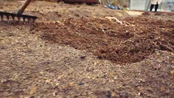 Un râteau métallique aplanit doucement le lit de compost pour une plantation en gros plan. — Video