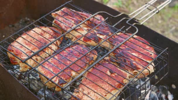 Grandi pezzi di carne alla griglia sulla griglia. — Video Stock