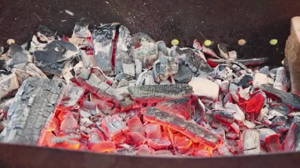 Brûler les charbons rouges dans le barbecue grill. — Video