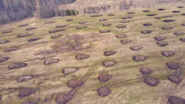 Tas de fumier dans un champ de ferme se trouvent en rangées, vue aérienne. — Video