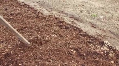 A metal hoe gently loosens a bed of compost for planting close-up. 